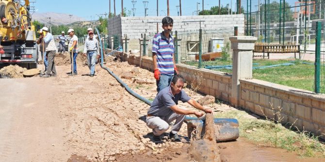 Botanik Parkta Sondaj Çalışması Gerçekleştirildi