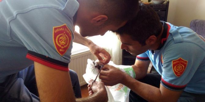 Çatıda Mahsur Kalan Kuşu İtfaiye Kurtardı