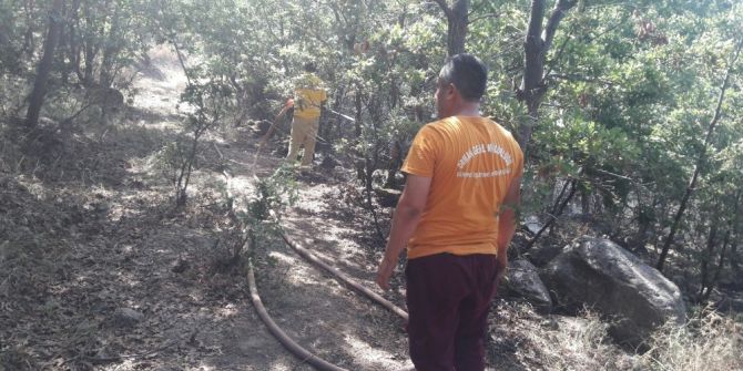 Cam Parçası 4 Dekar Alanı Kül Etti