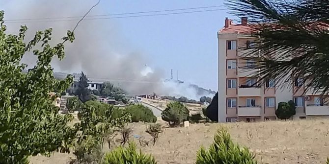 Aliağa’da Orman Yangını