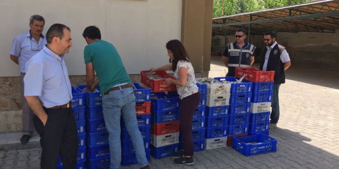 Beyşehir Gölü’nde Yavru Balık Operasyonu