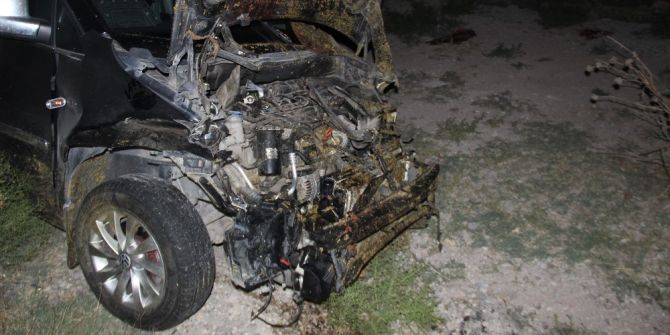 Sürüye Çarpan Hafif Ticari Araç 40 Koyunu Telef Etti