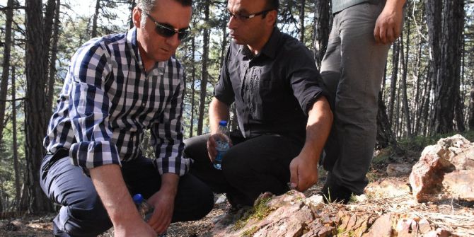 Soğuksu Milli Parkı, Milyonlarca Yıllık Ağaç Fosillerine Ev Sahipliği Yapıyor