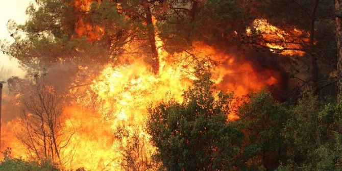 İzmir’deki Yangına Havadan Müdahale Başladı