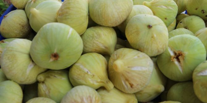 Mut’ta İncir 7,5 Liradan Alıcı Buluyor