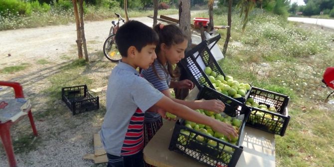 Okul Harçlıklarını Yol Kenarında İncir Kiraz Satarak Çıkarıyorlar