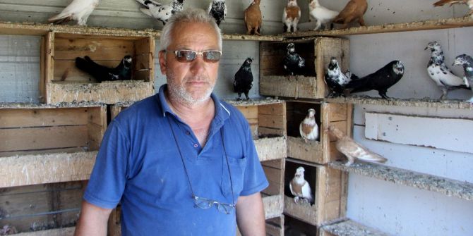 Çocukları Gibi Baktığı Kuşlarını Çaldılar