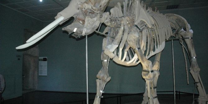 Kahramanmaraş’ın Fil Müzesi