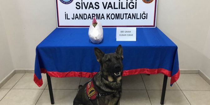 Sivas’ta Uyuşturucu Operasyonu