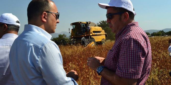 Bilecik’te Karabuğdayın Hasadı Yapılmaya Başlandı