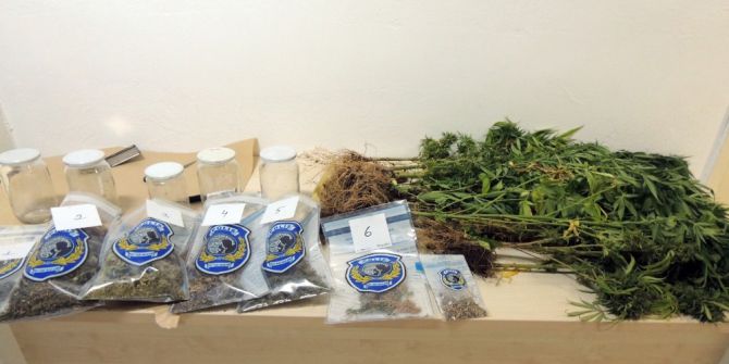 Balkon Ve Terasta Kenevir Yetiştiren 2 Kardeş Yakalandı