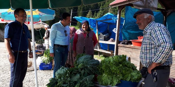 2 Bin Rakımlı Çambaşı Yaylası’nda Organik Pazar