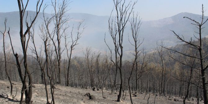 500 Hektarda Etkili Olan Yangın Kısmen Kontrol Altında
