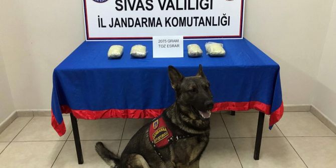 63 Yaşındaki Kadın Bacağında Sarılı Esrarla Yakalandı