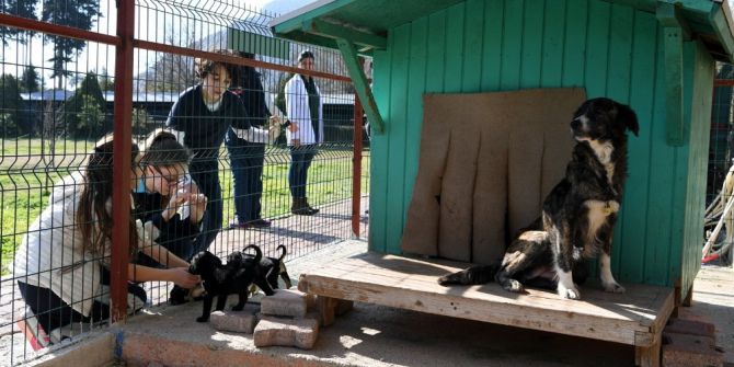 Konyaaltı Barınağına Altı Ayda Bin 256 Ziyaretçi