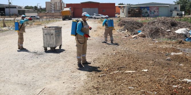 Haliliye Belediyesi İlaçlama Çalışması