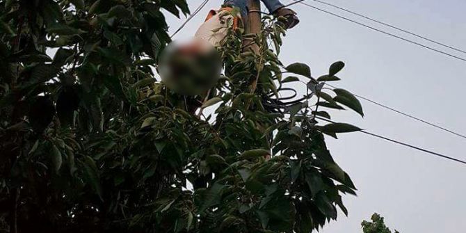 Arızayı Gidermek İçin Elektrik Direğine Tırmandı, Canından Oldu