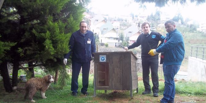 Ortahisar’dan Sokak Hayvanlarına Barınak