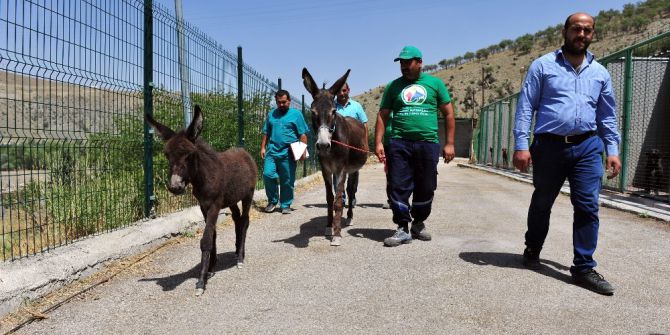 Kadife Ve Güllüşah Yeni Yuvalarına Uğurlandı