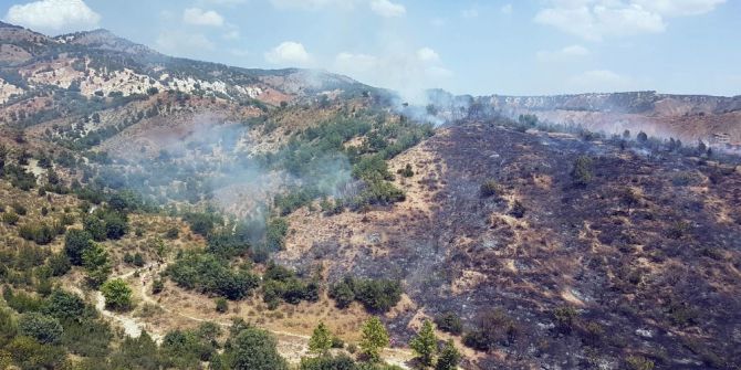 Ankara’da Orman Yangını