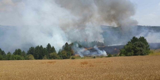 Karabük’te Orman Yangınları