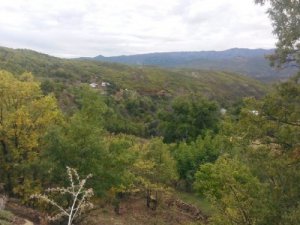 Bingöl Çiçekdere Köyü