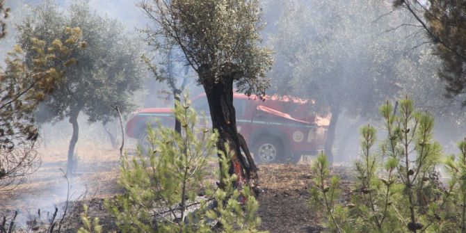 Ormanlık Alanda Başlayan Yangın Tarım Arazilerine Zarar Verdi