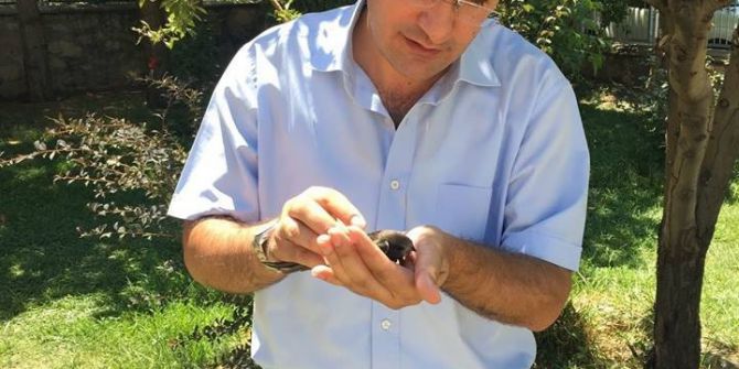 Tedavisi Tamamlanan Ebabil Kuşu Doğaya Salındı