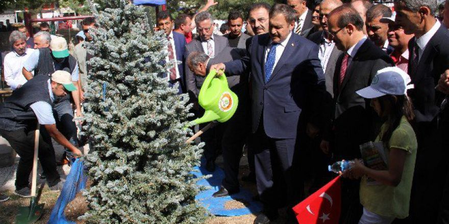 Bakan Eroğlu: "Çıkan Bin 733 Orman Yangınında 6 Bin 659 Hektar Alan Yandı”