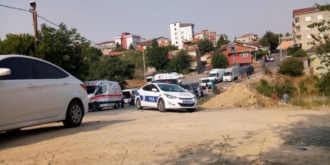 Pendik’te Ağaçlık Alanda Ceset Bulundu