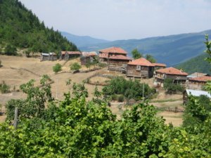 Bingöl Çiçekyayla Köyü