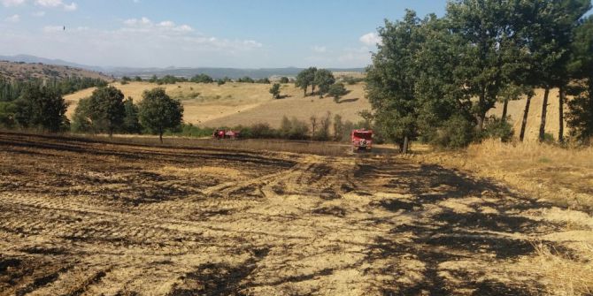 Hisarcık’ta Arazi Yangını