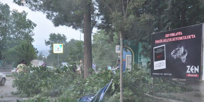 Şiddetli Rüzgar Ağaçları Devirdi