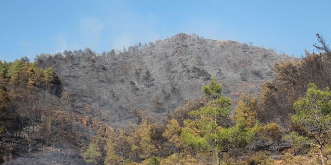 Marmaris’teki Orman Yangını Söndürüldü