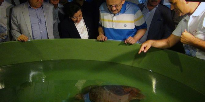 Bakan Özhaseki Yavru Carettaları Denizle Buluşturdu