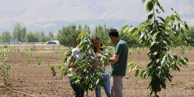 "Mutfaktan Bahçeye" Projesinin Uygulanması Devam Ediliyor