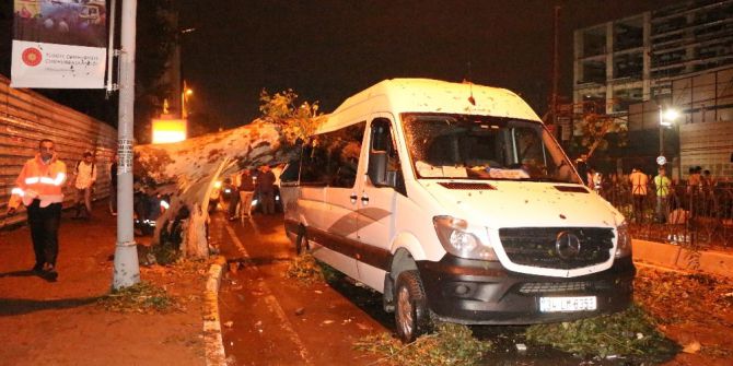 Şiddetli Yağış Dev Ağacı Turistleri Taşıyan Minibüsün Üzerine Devirdi