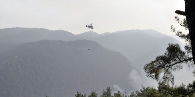 Hatay’da Orman Yangını
