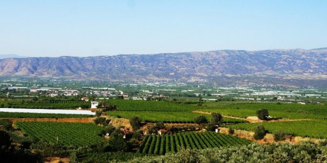 Sarıgöl Ovası Beyaza Bürünecek