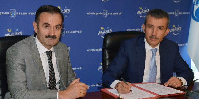 Büyükşehir Belediyesi İle Orman Ve Su İşleri Bakanlığı, Sokak Hayvanları İçin Ortak Çalışma Yürütecek