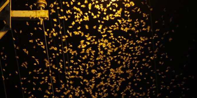 Beytüşşebaplılar Evlerine Hapsoldu