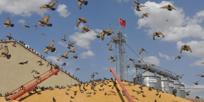 Binlerce Güvercin Akın Etti
