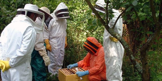 Muğla Orman Köylüsüne 14 Yılda 22,5 Milyon Destek