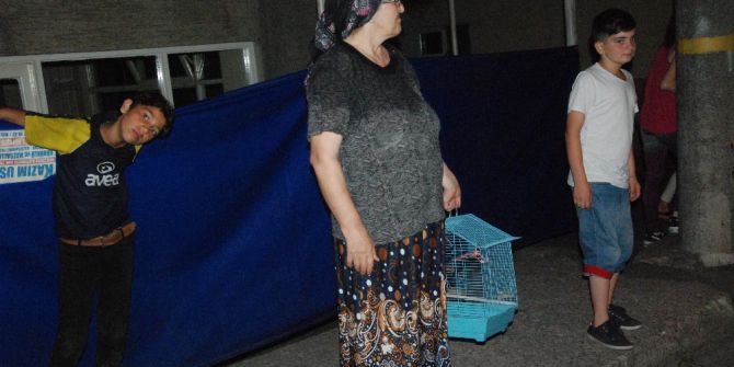 Mahalleli Kafesten Kaçan Kuş İçin Seferber Oldu