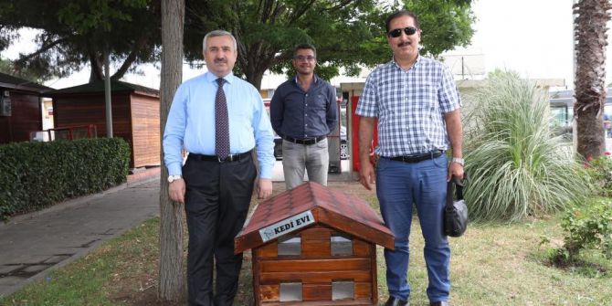 Kediler İçin ‘Dubleks’ Barınak