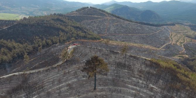 4 Günlük Yangının Ardından Yürek Yakan Görüntüler