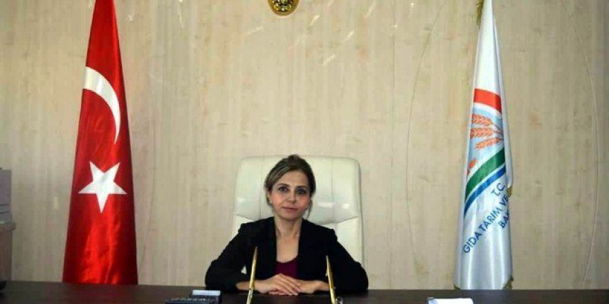 Kilis’te Sebze Ve Meyvelerden Alınan Numuneler Temiz Çıktı