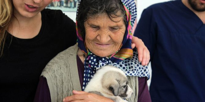 Pet Shopları Kıskandıran Hayvan Dostu Barınak