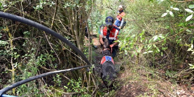 Uyuşturucu Yetiştiricisine Drone Ve Köpekli Operasyon
