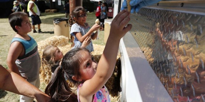 Abd’de Sarımsak Festivali Başladı